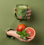 Hochwertige Sojawachs-Duftkerze Positive Vibes mit Holzdocht im Torn-Paper-Look. Hände präsentieren die grüne Kerze zusammen mit einer saftigen Blutorange, einer Grapefruit-Hälfte und frischen Minzblättern durch dunkelgrünes, gerissenes Papier – Best Bougie belebender Raumduft.