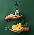 Festlicher Winter Wonderland Raumduft-Diffuser in dunkelgrünem Glas mit goldenem Verschluss und schwarzen Stäbchen im Torn-Paper-Look. Hände präsentieren den Flakon zusammen mit frischen Orangenscheiben, Zitronen und Eukalyptuszweigen durch dunkelgrünes, gerissenes Papier – Best Bougie winterlicher Premium Raumduft.
